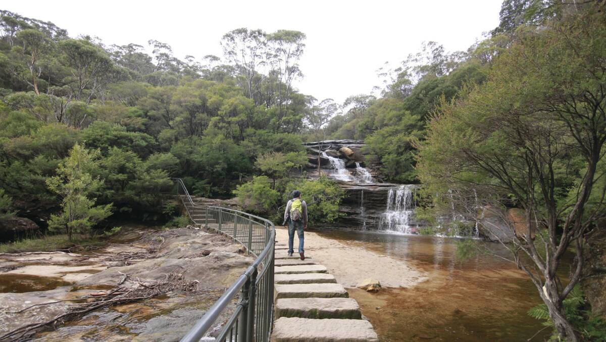 Wentworth Falls walking track, Blue Mountains National Park. Picture: Elinor Sheargold/DPIE
