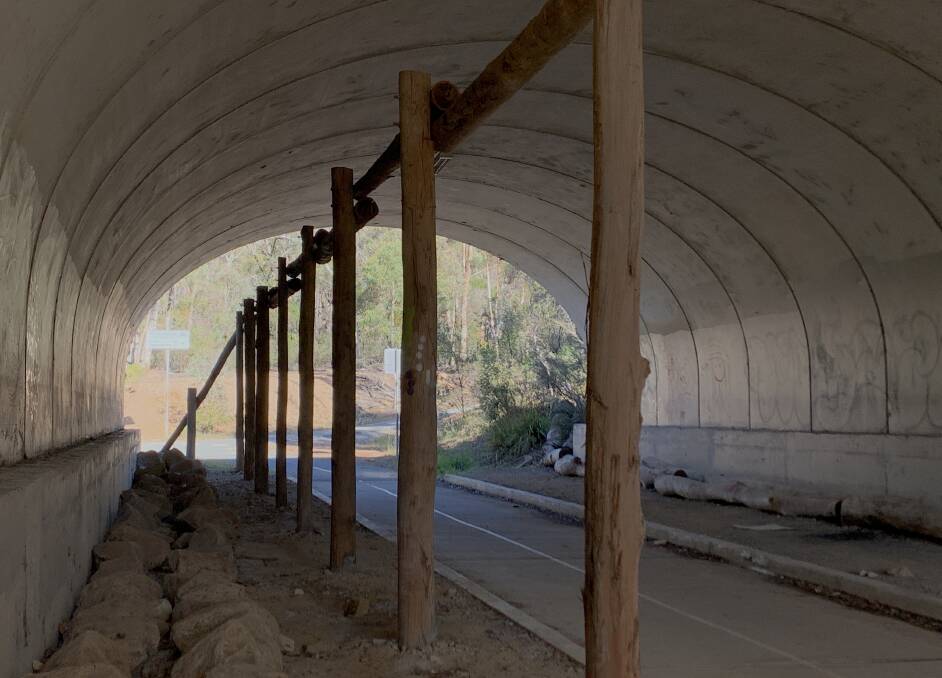 A Gungahlin Drive underpass in Bruce, complete with wooden structure to assist tree-dwelling animals to cross the road. Picture: Tim the Yowie Man