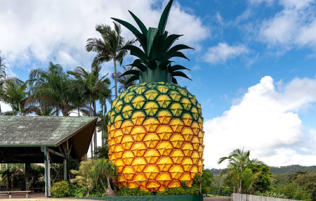 The Big Pineapple turns 50 this year but the site is currently closed. Pictures: Michael Turtle