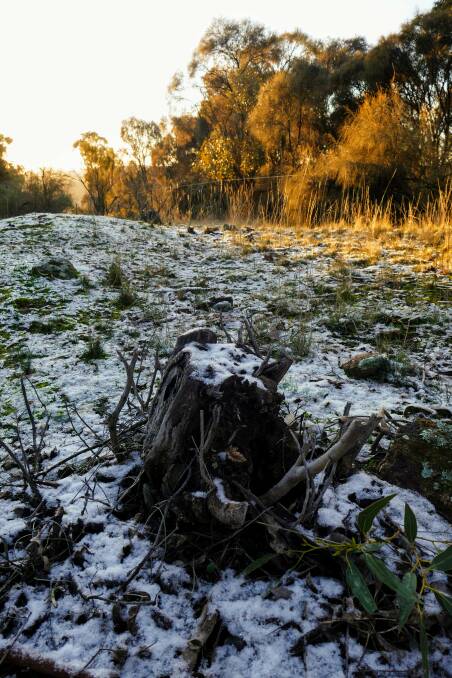 Sunshine melts the overnight snow on Mt Majura on Wednesday. Picture: Toby Vue