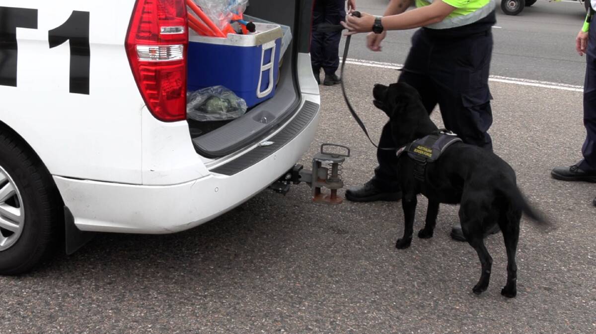 Sniffer dogs, such as those used by Australian Border Force at airports and sea terminals, could be deployed at Exhibition Park. Picture supplied 