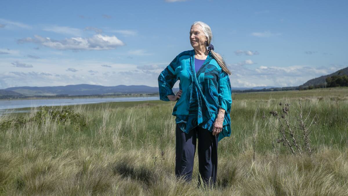Local resident Elizabeth Dalman, on the shores of a rising and healthy Lake George. Picture: Keegan Carroll