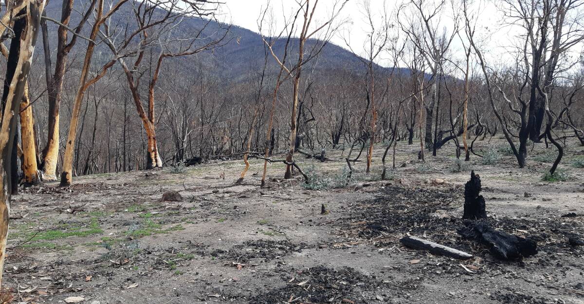 The intensity of the 2019-20 Clear Range fire has scarred the landscape, exposing it to landslips and erosion. Picture: Supplied 