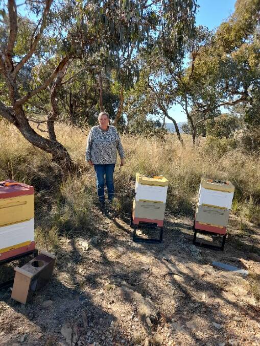 Liz Cotton, from Bumbalong Bees, with her hives. Picture: Supplied