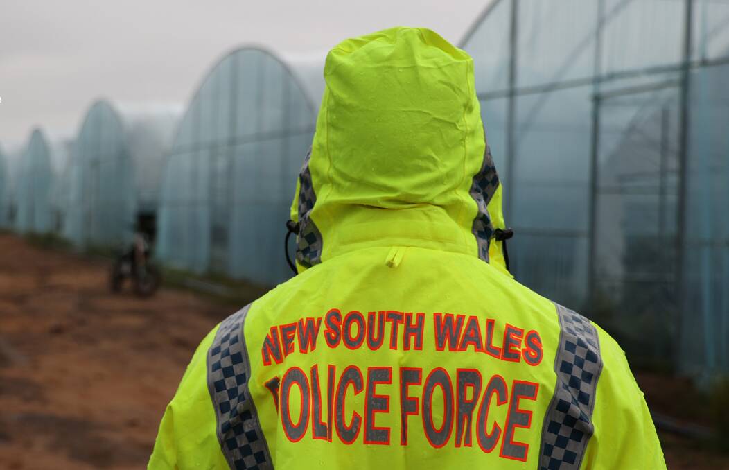 A police officer in front of the greenhouses. Picture: NSW Police