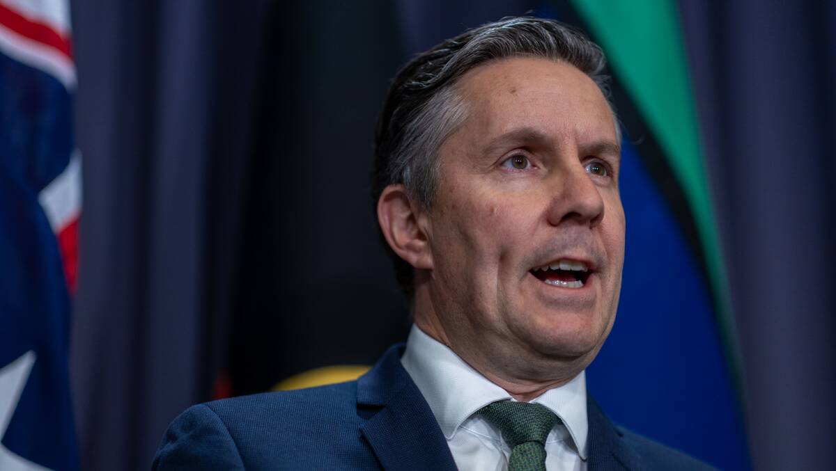 Federal Health Minister Mark Butler. Picture by Gary Ramage
