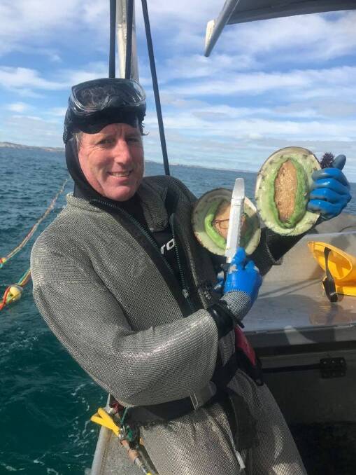 PRIZE: Darryl Carrison holds up some green lip abalone caught while diving a short time after his close encounter with a shark. Photo: supplied