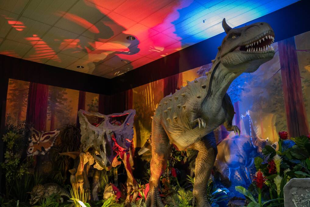 Visit the National Dinosaur Museum. Picture Shutterstock