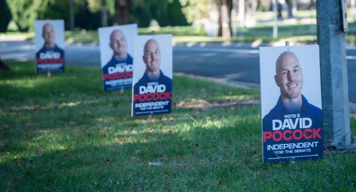 Corflute posters of independent senate candidate David Pocock. Picture: Karleen Minney