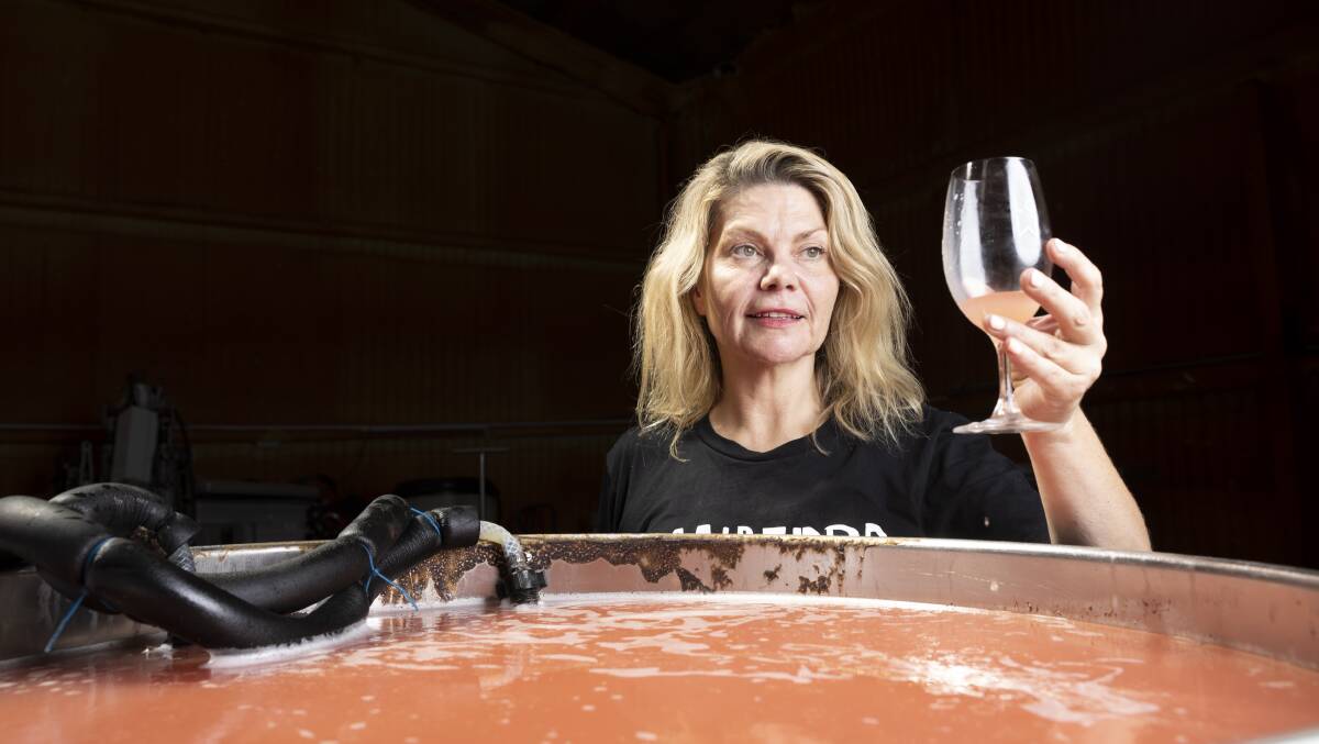 Lake George Winery owner Sarah McDougall on Sunday samples freshly picked and crushed grapes. Picture by Keegan Carroll