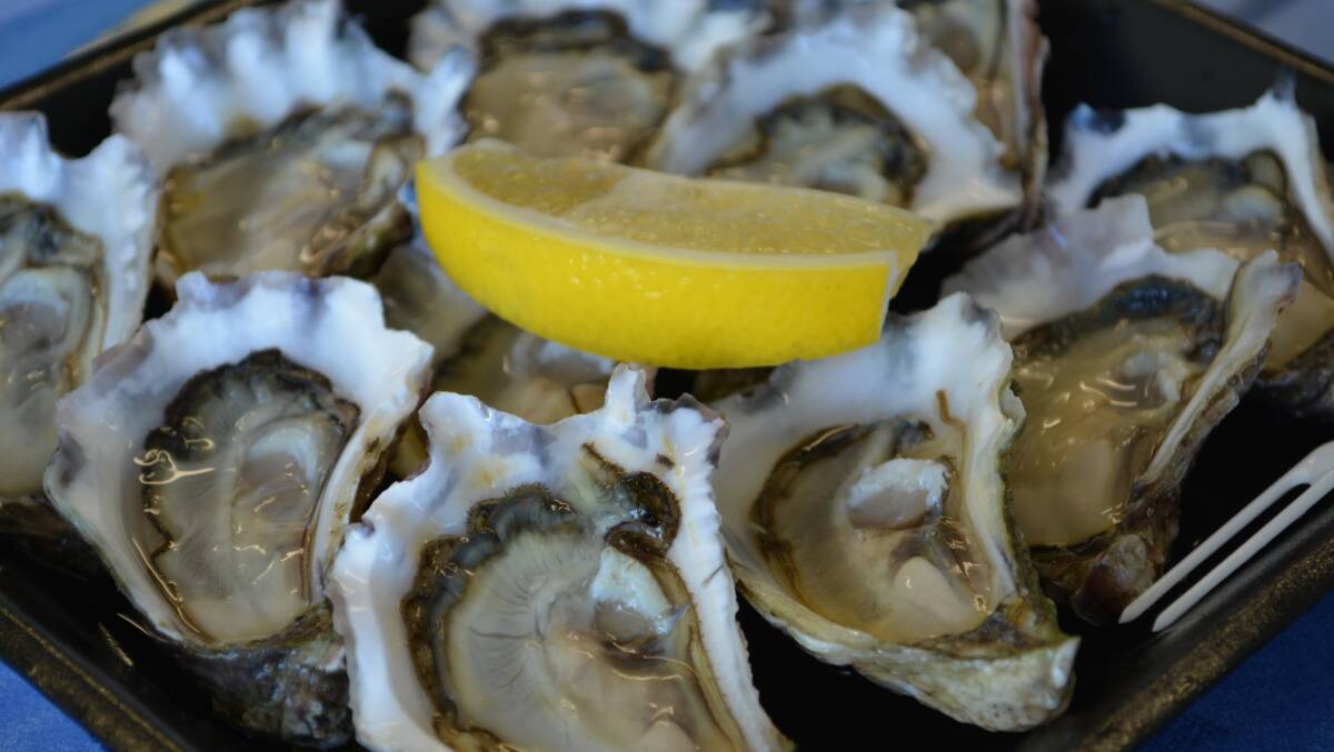 Are oysters really an aphrodisiac? Find out at Braddon Merchant. Picture: Supplied