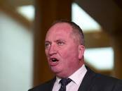 NOT FOR ME: Barnaby Joyce has stuck true to his word about not supporting Facebook through advertising, but the Liberals and Labor have spent big. Photo: file