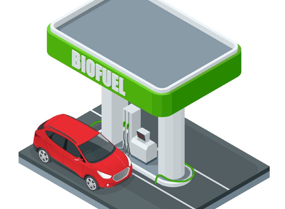 Biofuels are renewable, and that's the key factor for net-zero emissions. Photo: Shutterstock