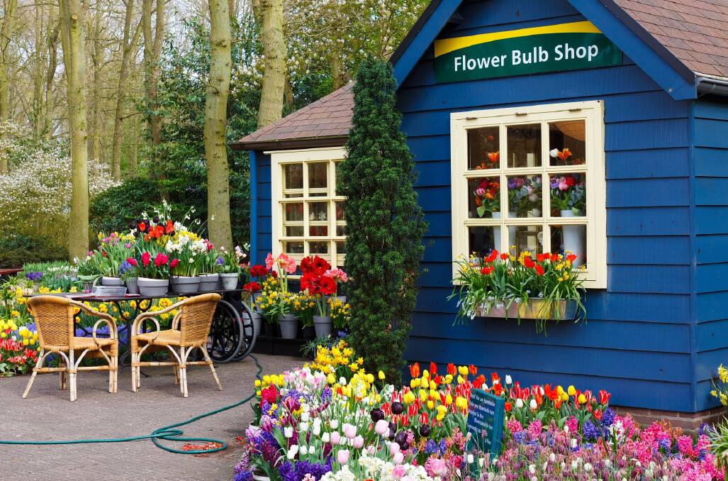 Flower bulbs to plant for a rainbow of spring colours