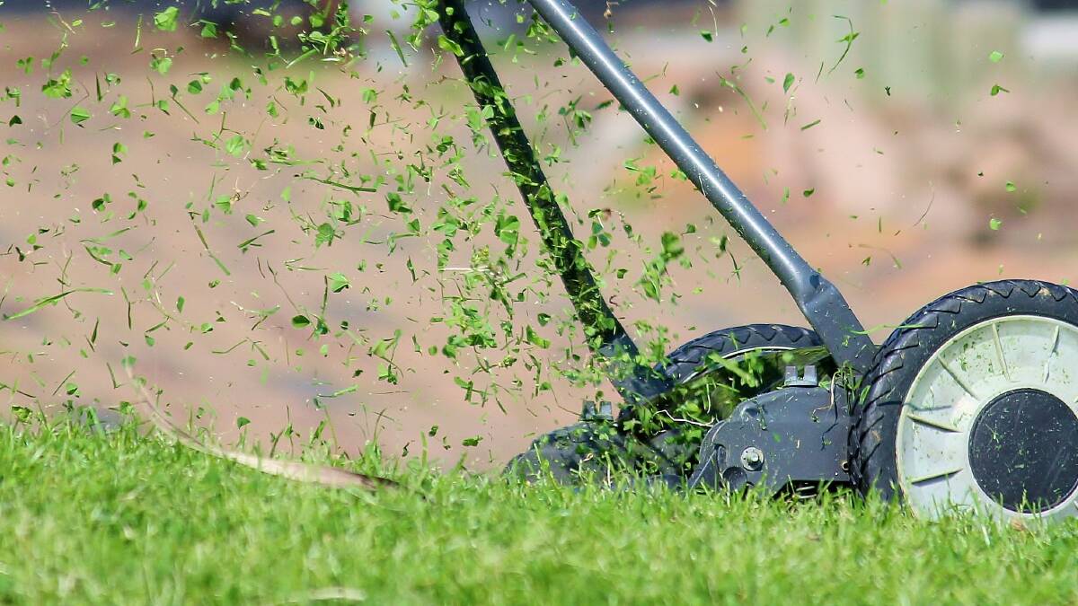 Pros and cons in the turf war of actual grass vs synthetic