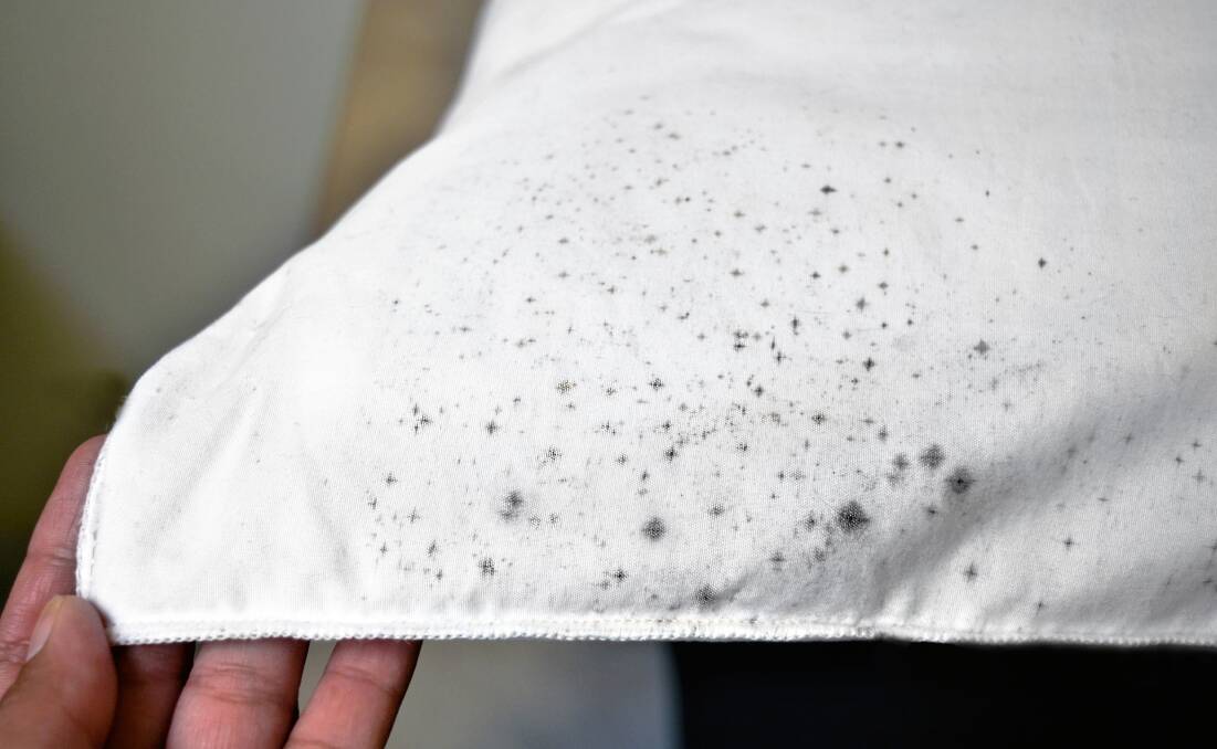 How To Get Mould Stains Out Of Fabric, Will Mould Wash Out Of Curtains