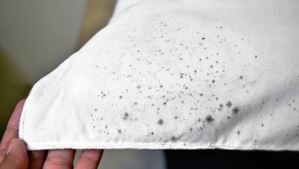 How to get mould stains out of fabric  The Canberra Times