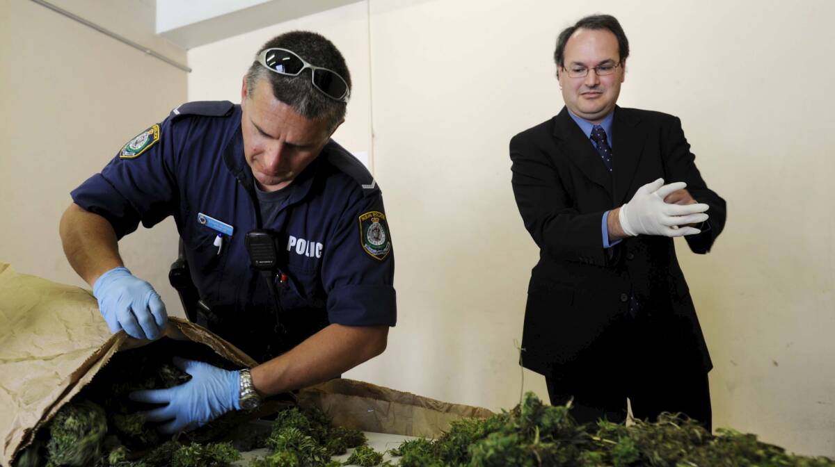 Police officers at Queanbeyan with a haul of seized cannabis. Picture: Lannon Harley