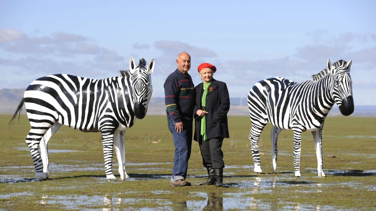 The Lake George zebras with their creators Alan and Julie Aston 2010. Picture: Lannon Harley