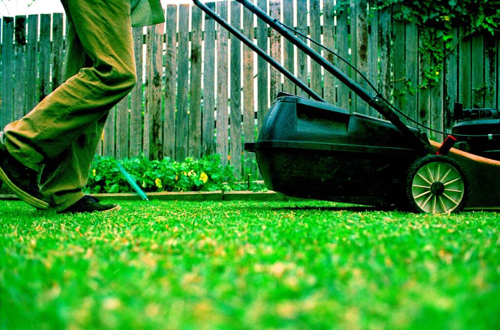 Your lawn doesn't need to look like a bowling green to be beautiful. Picture: Louise Kennerley