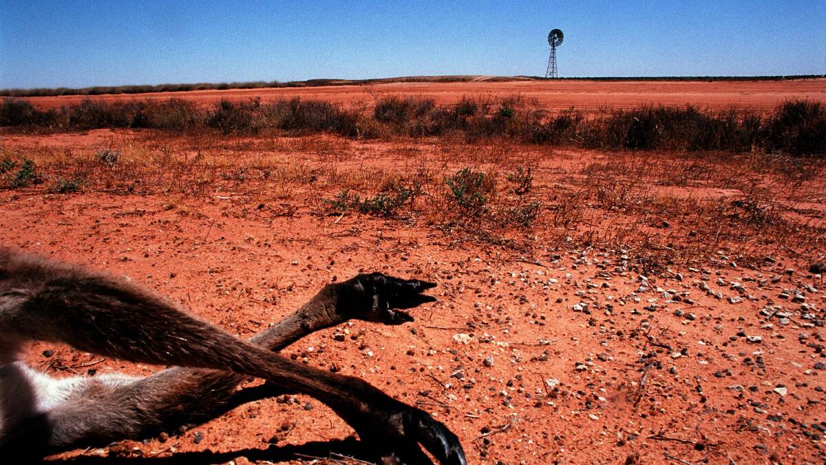 As the driest inhabited continent on earth, Australia is particularly vulnerable to the effects of planetary warming. Picture: Dean Sewell