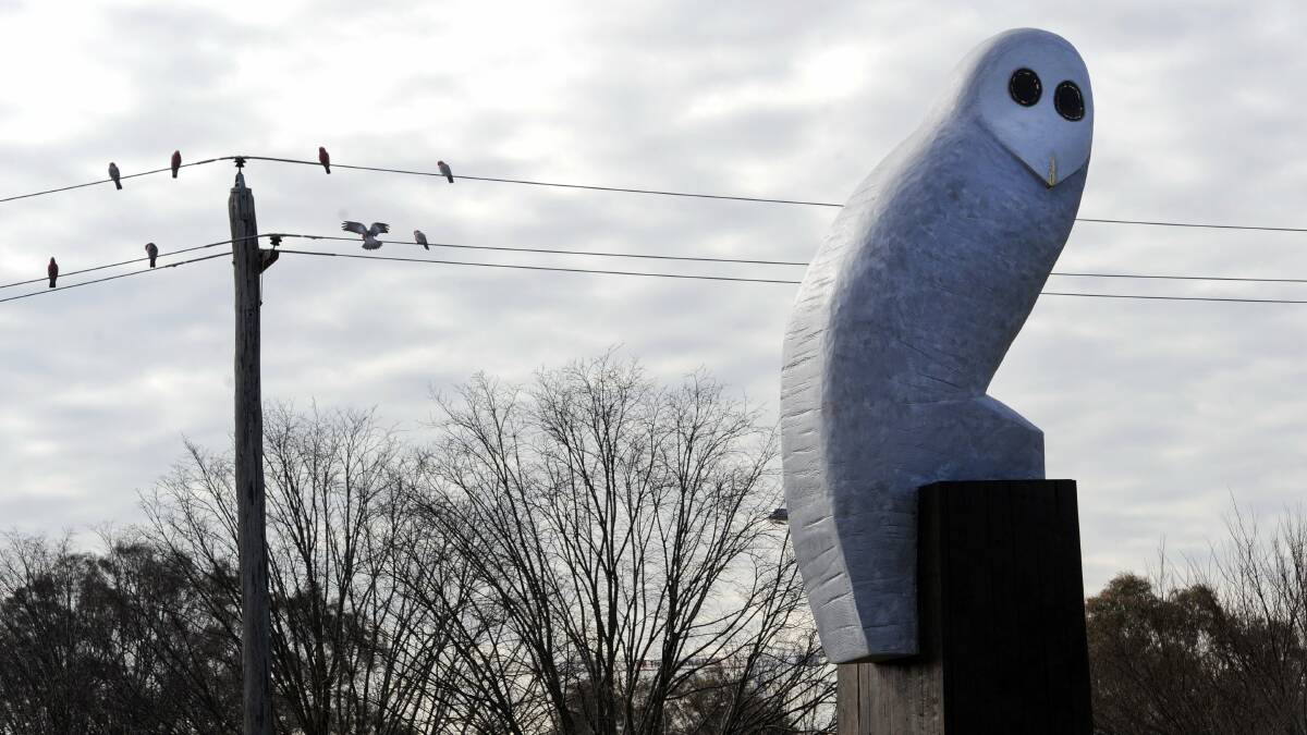 Belconnen's giant owl sculpture. Picture: Graham Tidy.