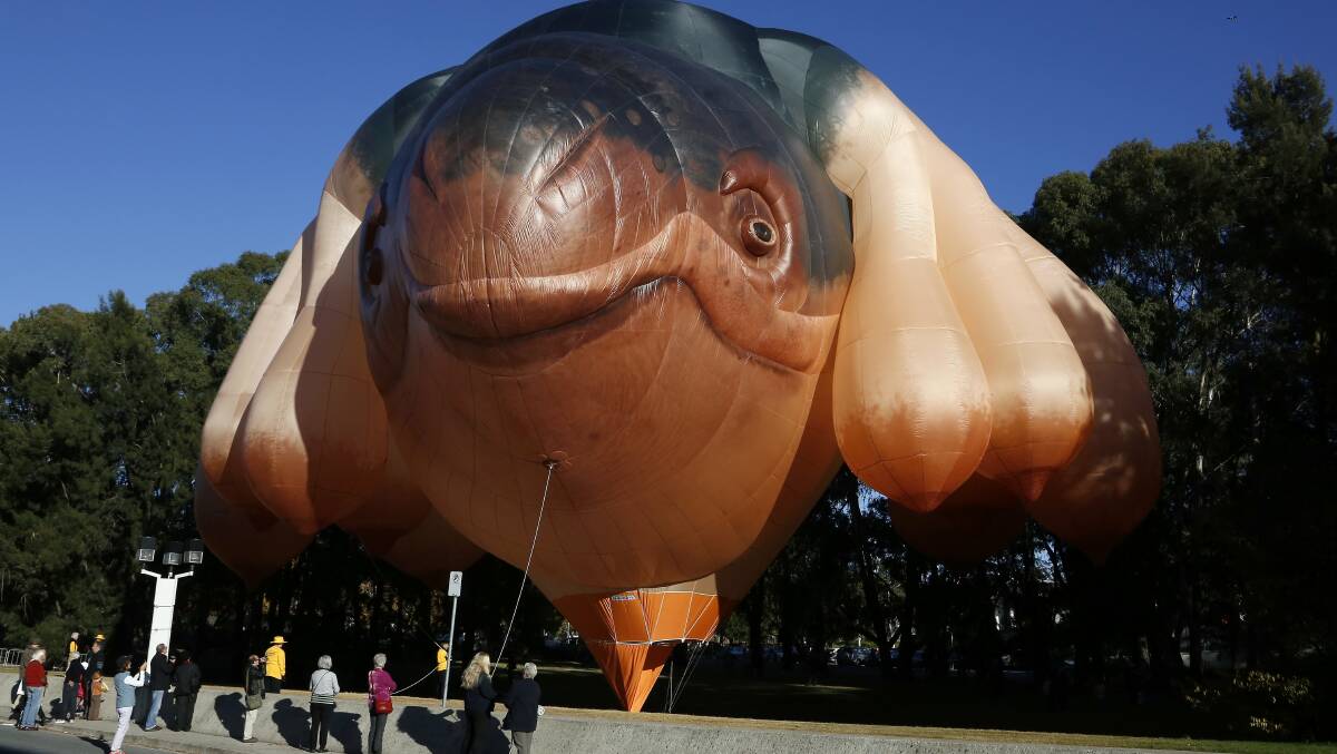 Skywhale will make her triumphant return to Canberra this long weekend. Picture: Jeffrey Chan