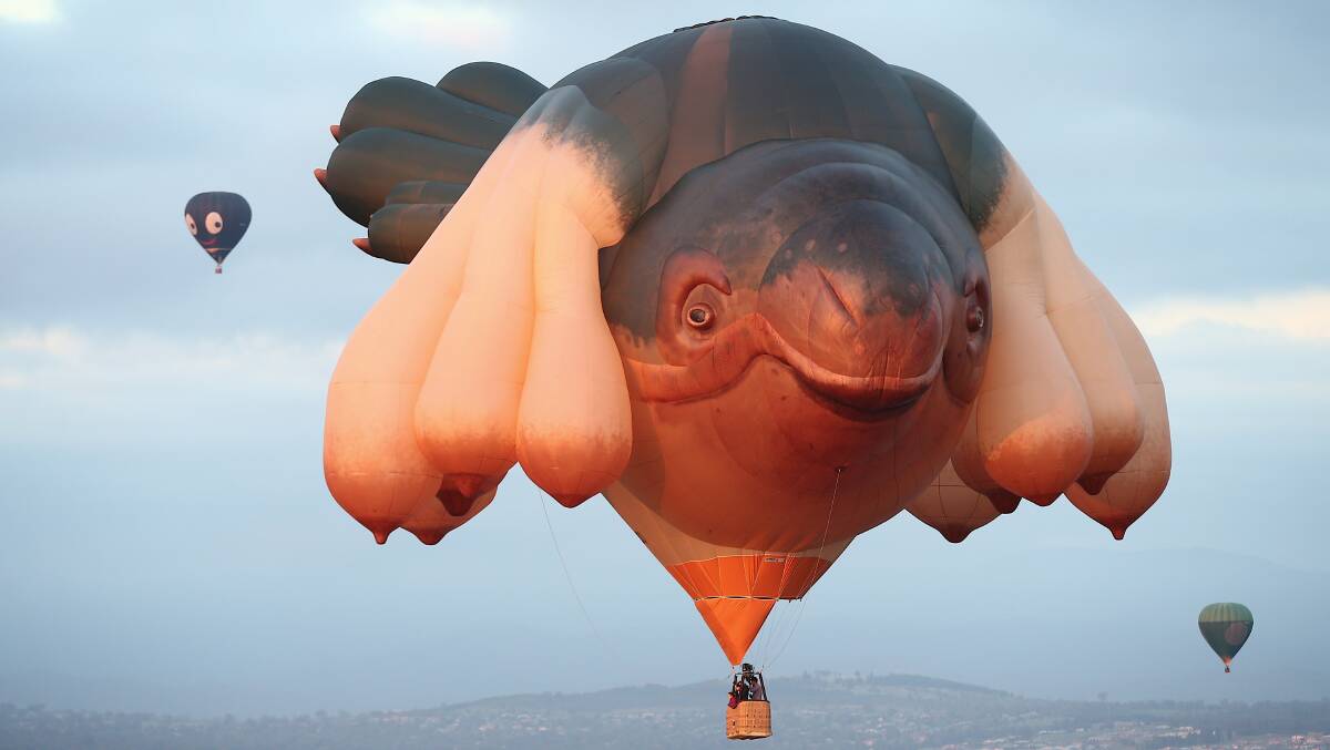 Skywhale floats over Lake Burley Griffin for the Canberra Balloon Spectacular in 2014. Picture: Alex Ellinghausen