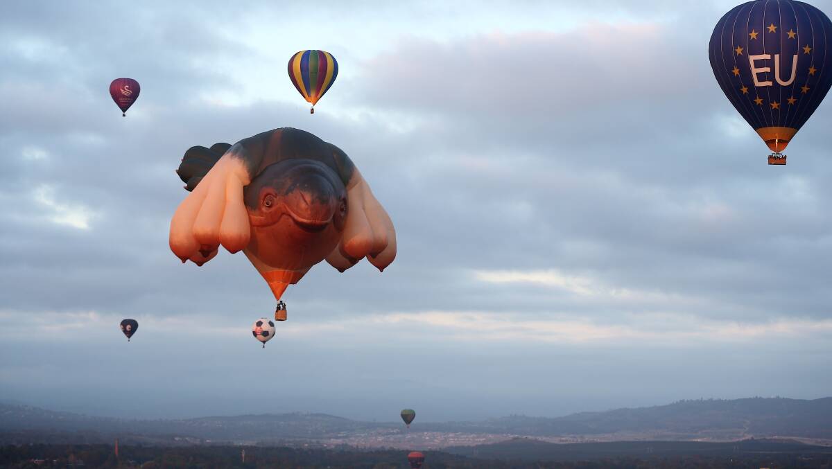 A self-described amateur balloonist, perhaps McCloud could hitch a ride on the Skywhale. Photo: Alex Ellinghausen 