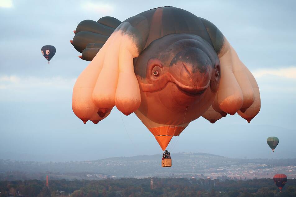 Skywhale over Lake Burley Griffin for the Canberra Balloon Spectacular in 2014. Picture: Alex Ellinghausen