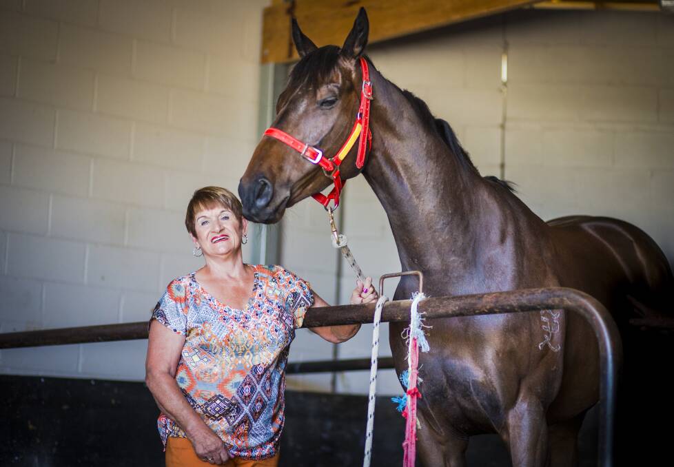 Canberra trainer Barbara Joseph has a trip to Warrnambool coming up. Picture: Jamila Toderas