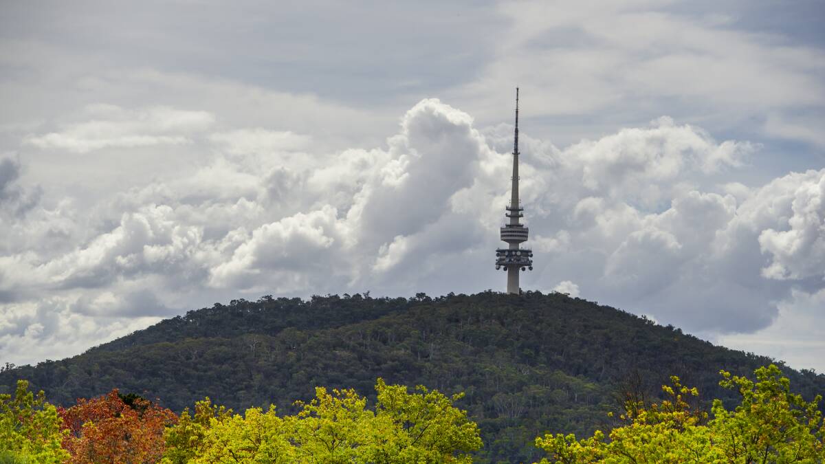 Black Mountain Tower. Picture: Jay Cronan