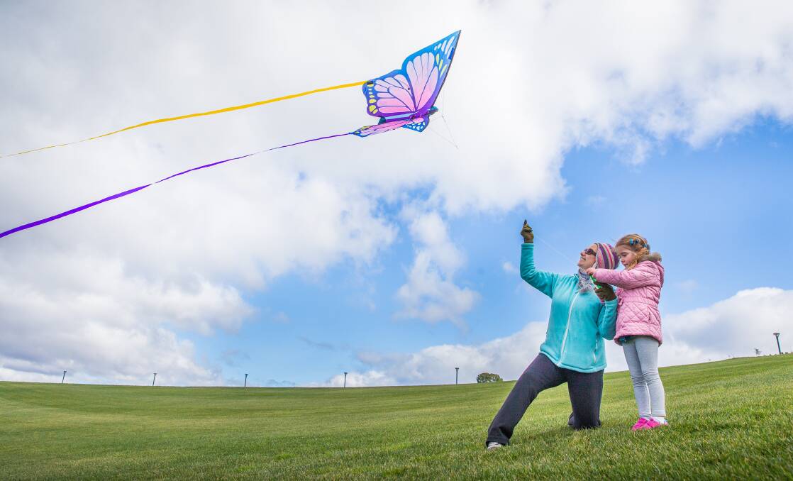 Kites at the National Arboretum.