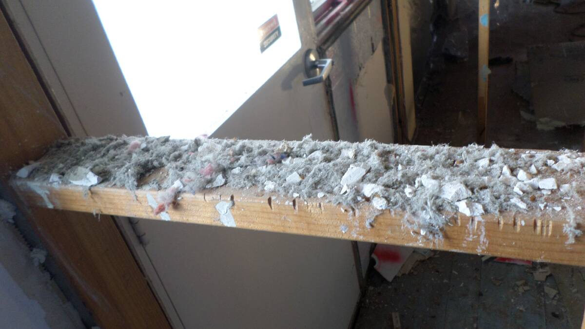 Loose-fill asbestos found in a wall cavity at the first official Mr Fluffy home demolition in Wanniassa. Picture: Supplied by the ACT Asbestos Taskforce