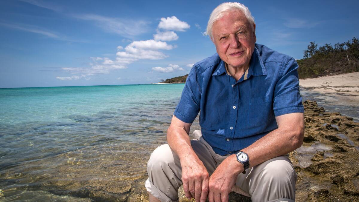 Sir David Attenborough back at the Great Barrier Reef. Picture: Atlantic Productions
