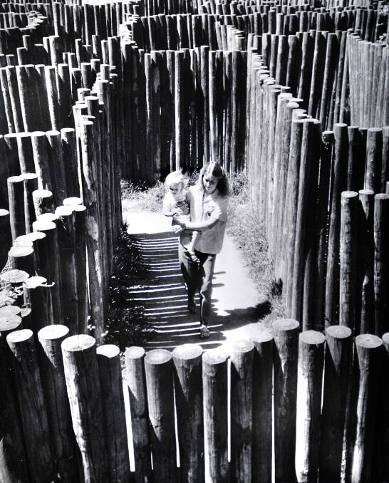 The Weston Park maze in 1987. Picture: Richard Briggs