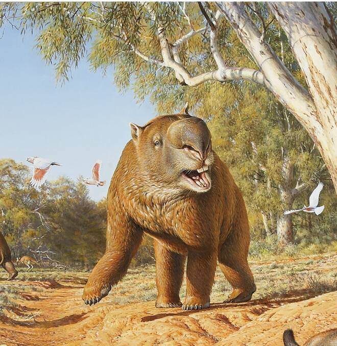An illustration of the rhino-sized, 2.8 tonne diprotodon. Picture: Peter Trusler