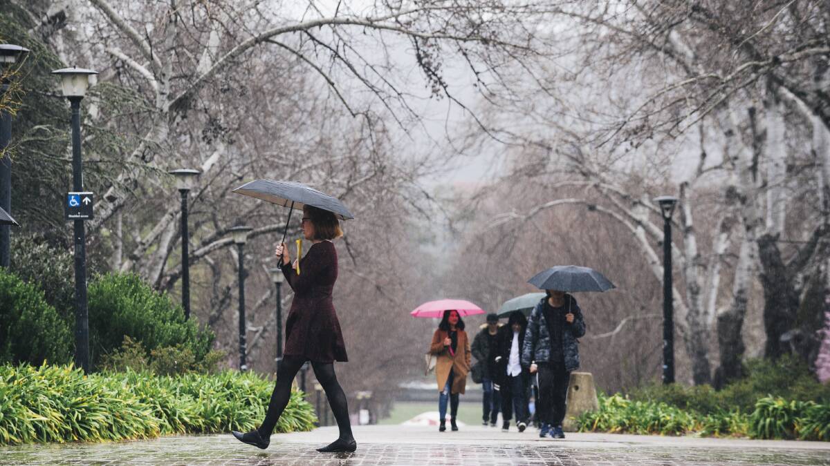 More than double the average March rainfall is forecast for Canberra this week. 