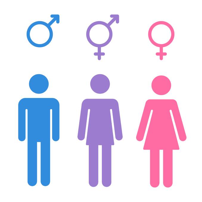 Male, gender neutral and female.