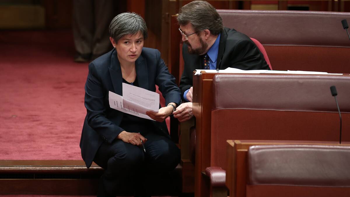 Senator Penny Wong and Senator Derryn Hinch during debate on the ABCC bill in the Senate at Parliament House in 2016. Photo: Alex Ellinghausen