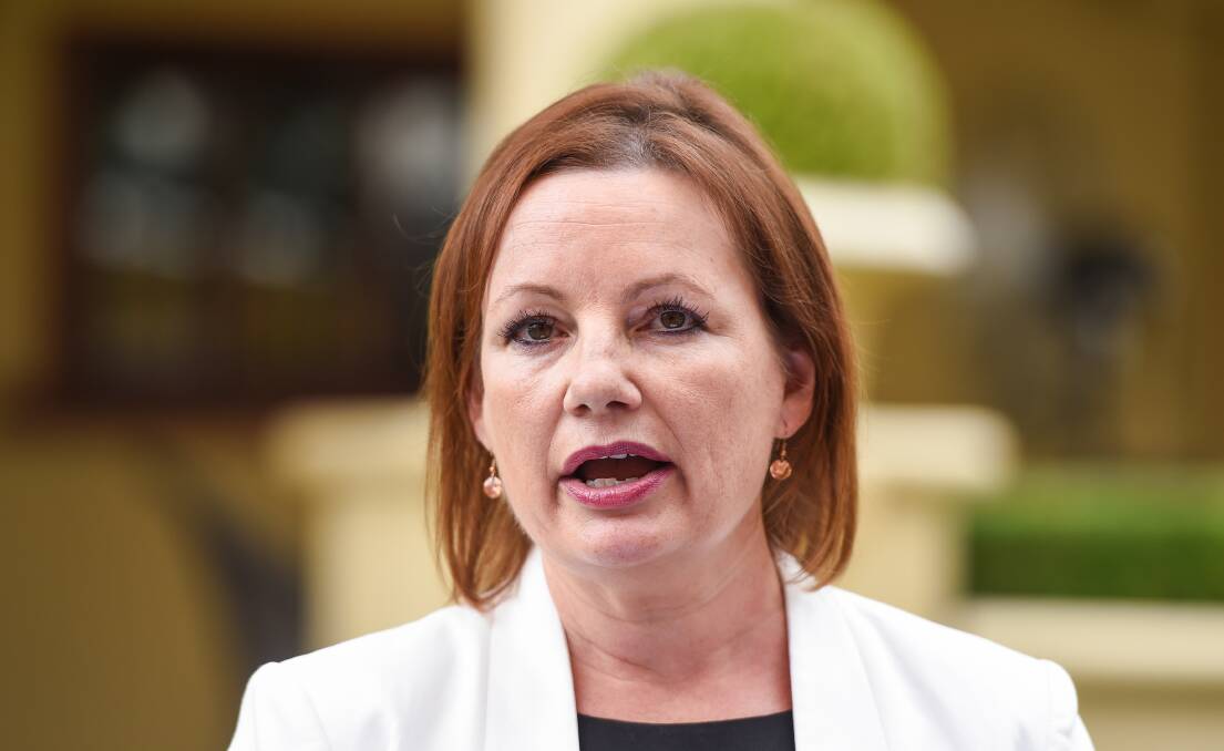 Acting Energy and Emissions Reduction Minister Sussan Ley. Picture: Mark Jesser