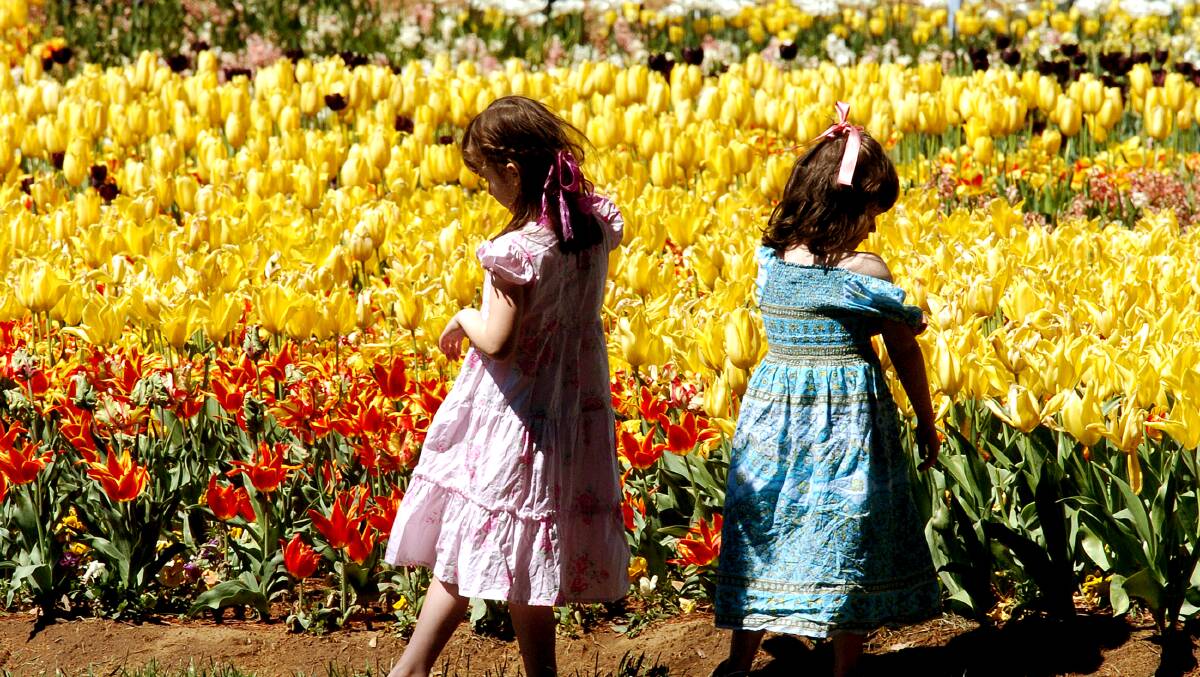 Sister Tara, 5, left, and Ella Weall from Bulli, Wollongong enjoy Floriade in 2005. Picture: Kate Callas