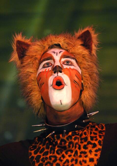 The Rum Tum Tugger (Jordan Kelly) in Cats. Picture: Graham Tidy