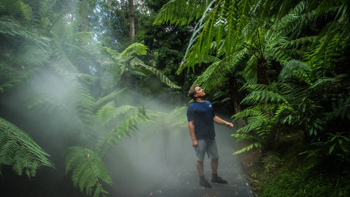 Far left, David Taylor, curator of the living collection, checks out the water-efficient misting machines as they add moisture to the air in the rainforest garden. Picture: Karleen Minney.