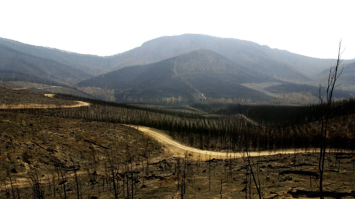 Parts of the Brindabella ranges were badly burnt out by fires in January 2003. Picture: Lannon Harley