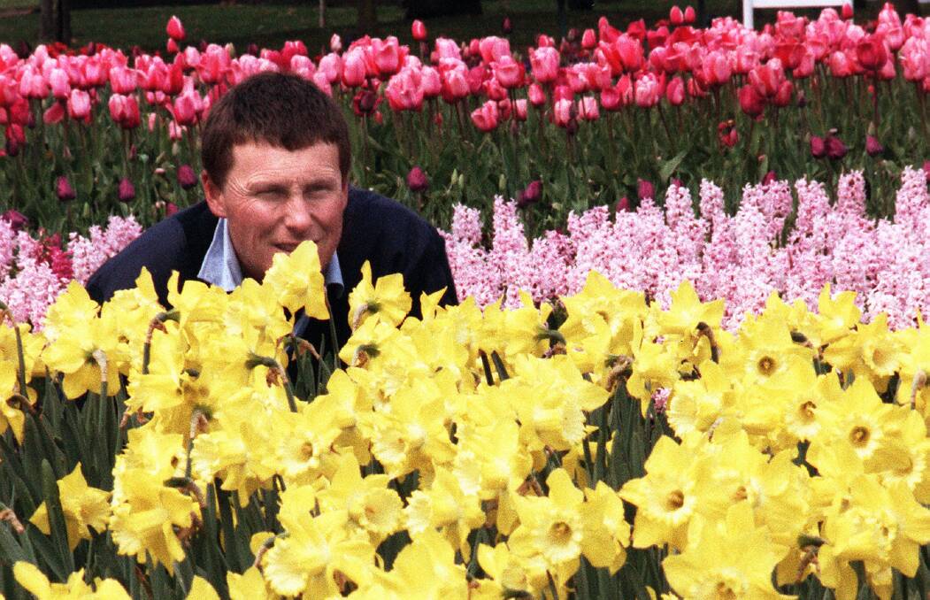 Andrew Forster takes stock of the myriad blooms opening on cue for the start of Floriade in 1999. He's posed for similar pictures many times since. Picture: Gary Schafer