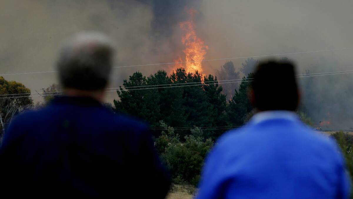 Carwoola residents have launched a class action for damage caused by the fire. Photo: Alex Ellinghausen