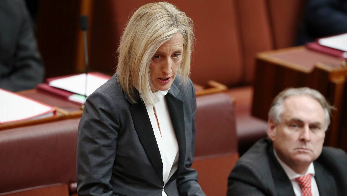 Katy Gallagher speaks in parliament as the dual citizenship saga unfolded in 2017.