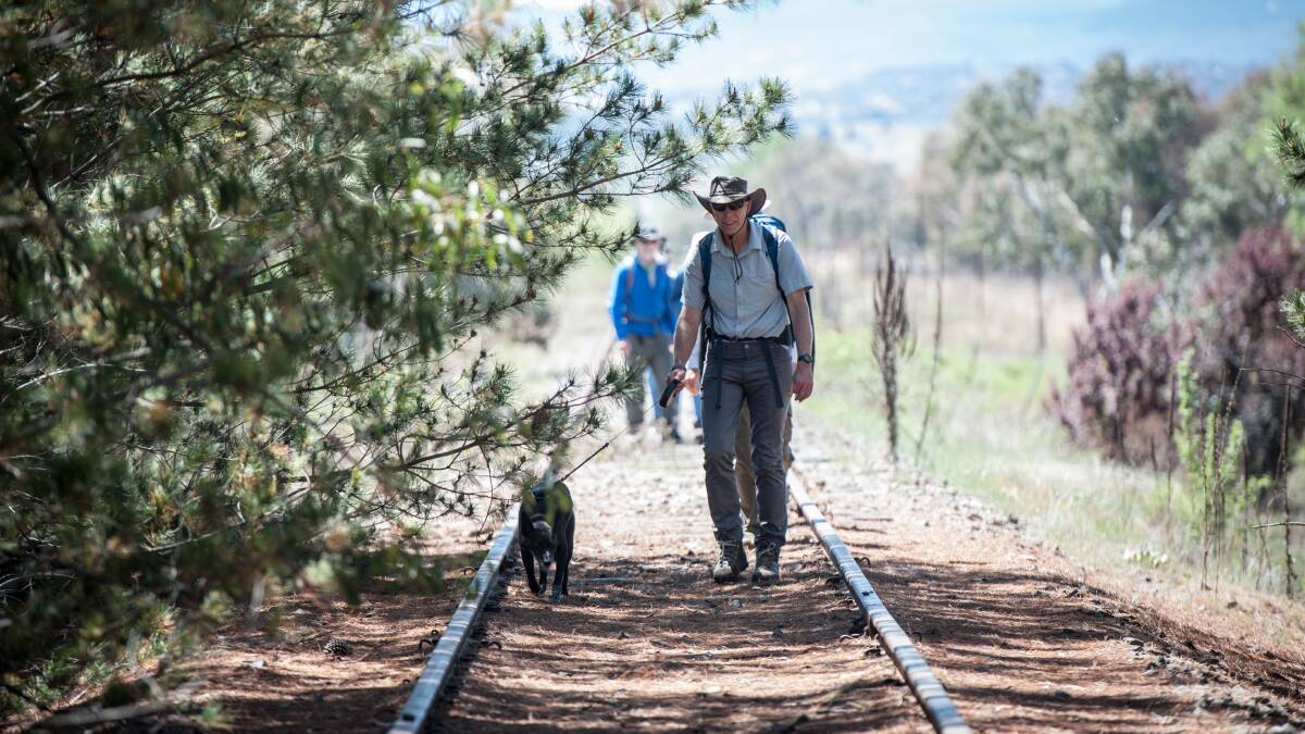 Conservation Council president Rod Griffiths, with his dog Tilly, in 2017. Picture: Karleen Minney