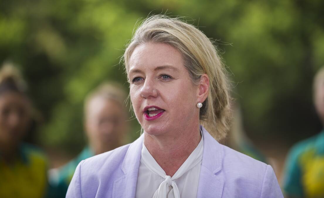Former sports minister now Agriculture Minister Bridget McKenzie is under pressure over an audit into a grants program. Photo: Dion Georgopoulos